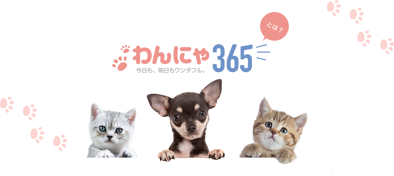 わんにゃ365とは？