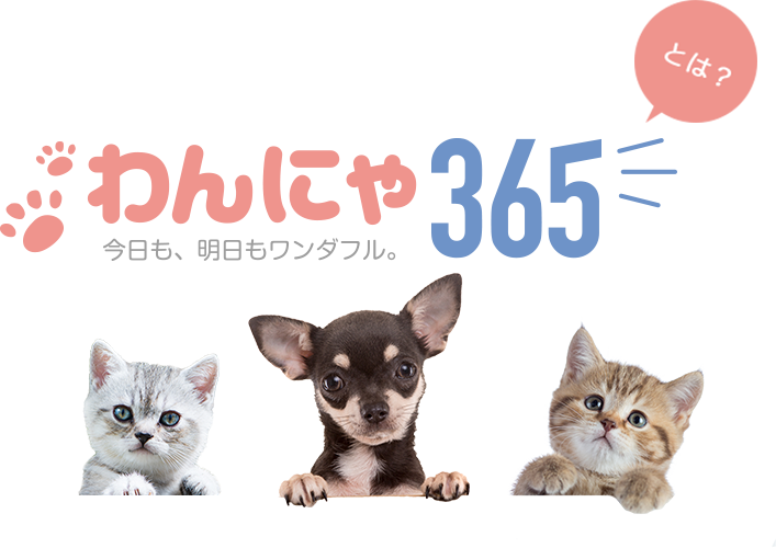 わんにゃ365とは？