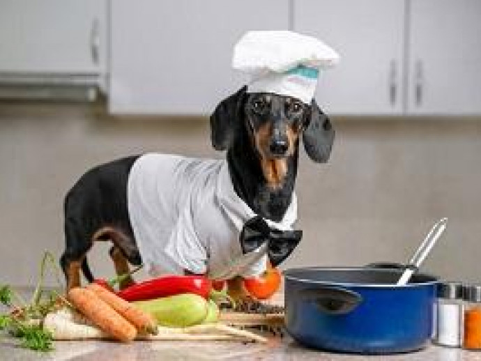 【動物看護士執筆】愛犬の健康のために！フードに「ちょい乗せ」したい食材を紹介