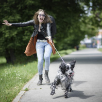 愛犬とのお散歩でトラブル発生！？事例と対応策をご紹介