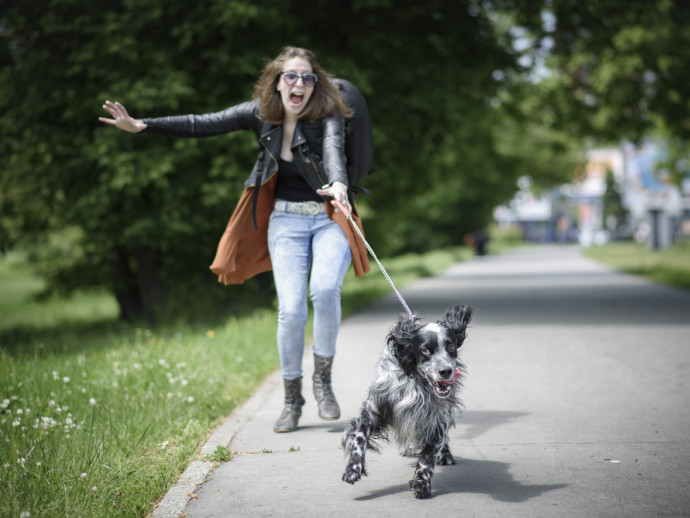 愛犬とのお散歩でトラブル発生！？事例と対応策をご紹介