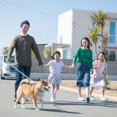 獣医師執筆 飼い主なら知っておきたい 犬がお留守番できる時間 について 記事 わんにゃ365 今日も明日もワンダフル 獣医師執筆 飼い主なら知っておきたい 犬がお留守番できる時間 について 記事 わんにゃ365 今日も明日もワンダフル
