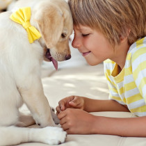 【獣医師執筆】楽しい思い出をたくさん作ろう！「子どもと犬」と一緒に仲良く暮らす方法