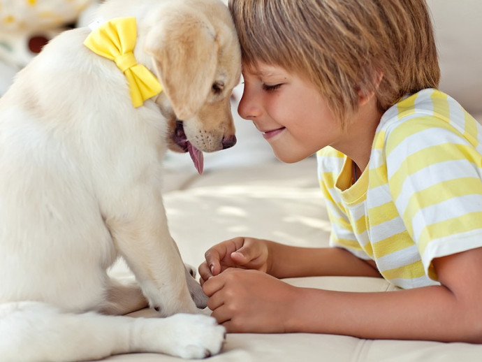 【獣医師執筆】楽しい思い出をたくさん作ろう！「子どもと犬」と一緒に仲良く暮らす方法