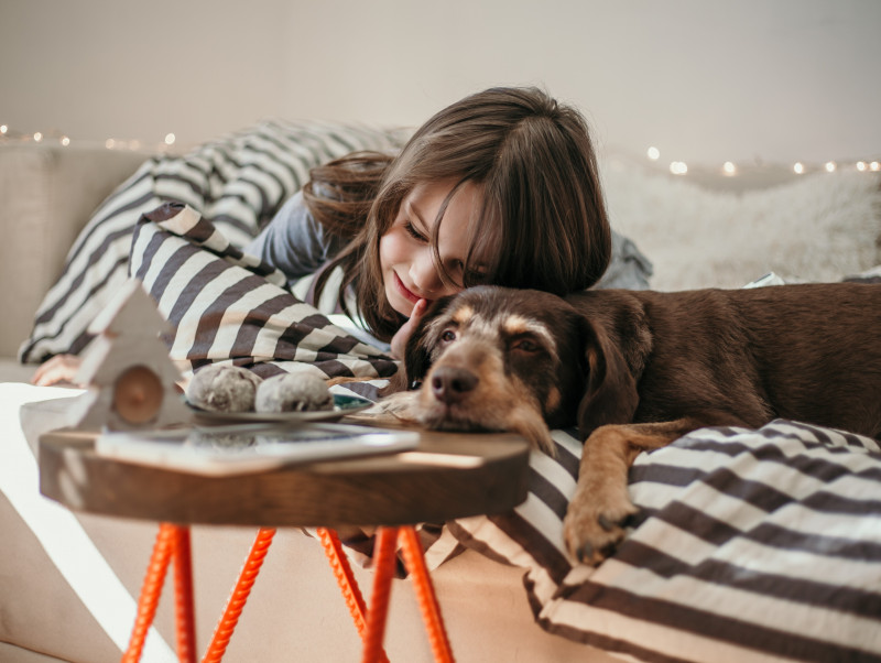 過ごした時間は宝物！飼い主が語る「シニア犬」との暮らしが教えてくれること