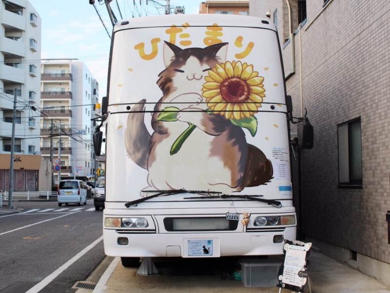 【愛知】まるで猫の幼稚園！2階建てバスを改装した保護猫カフェ『ひだまり号』の取り組み