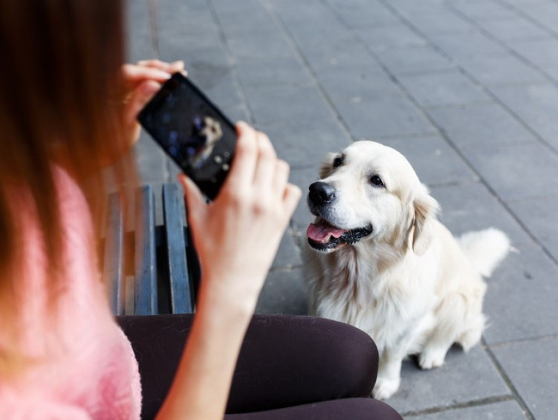 癒し度120%超え!? 犬の人気インスタグラマー3選～第3弾～