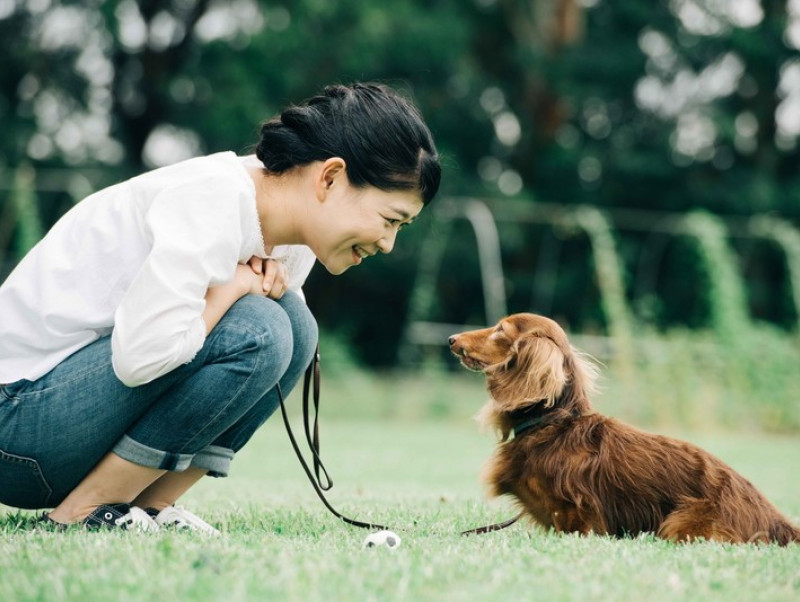 獣医師が感心した！飼い主さんの「愛犬への気遣い」～第1弾～