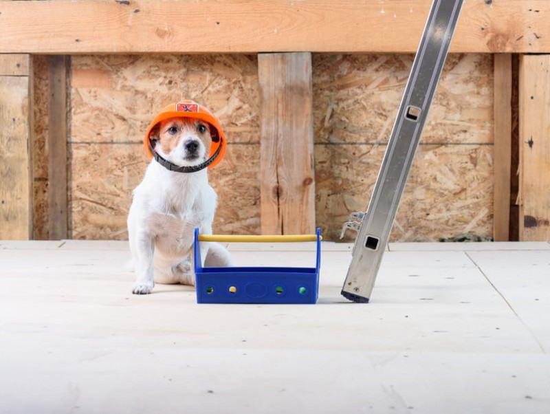 目が悪くなったシニア犬のために！玄関への落下を防ぐ「防止柵」を100均グッズでDIY