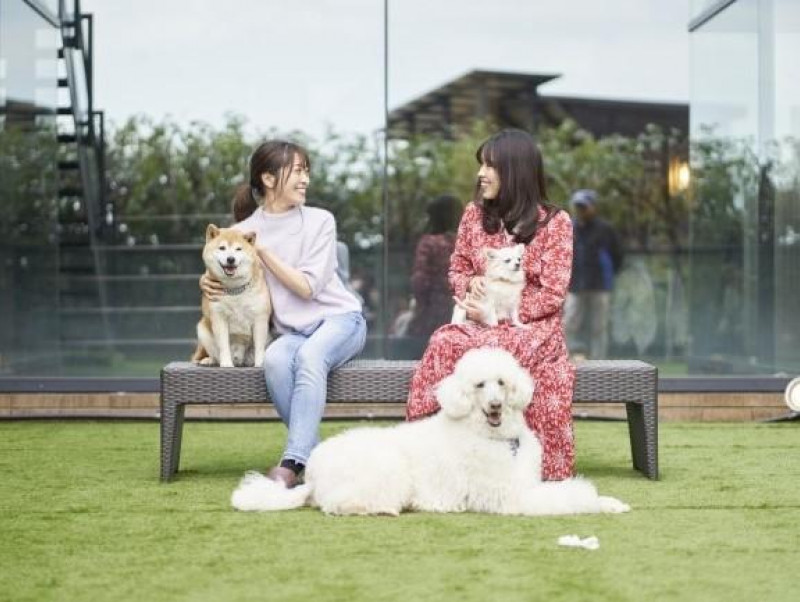 【静岡】愛犬と泊まれる温泉ホテル！『ペット＆スパホテル伊豆高原』がグランドオープン