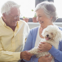 【獣医師執筆】犬にも老眼はあるの？加齢が目に与える影響を解説！