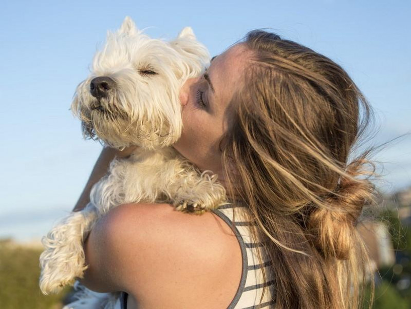 【獣医師執筆】愛犬とのスキンシップで手足切断に!? ペットとのスキンシップで気を付けるべきこと