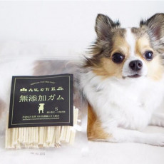 犬 食 ふん なぜ