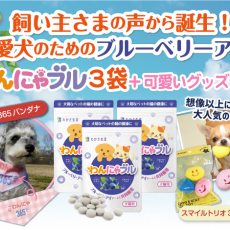 獣医師執筆 なぜ犬はうんちを食べるの 食糞と飲尿 の原因と正しくやめさせる方法 記事 わんにゃ365 今日も明日もワンダフル 獣医師執筆 なぜ犬はうんちを食べるの 食糞と飲尿 の原因と正しくやめさせる方法 記事 わんにゃ365 今日も明日もワンダフル