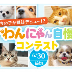 獣医師執筆 なぜ犬はうんちを食べるの 食糞と飲尿 の原因と正しくやめさせる方法 記事 わんにゃ365 今日も明日もワンダフル 獣医師執筆 なぜ犬はうんちを食べるの 食糞と飲尿 の原因と正しくやめさせる方法 記事 わんにゃ365 今日も明日もワンダフル