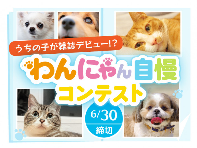 わんにゃ365 今日も明日もワンダフル わんにゃ365 今日も明日もワンダフル