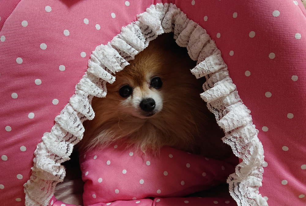 ここは🎀みゆの部屋だよ💕💕