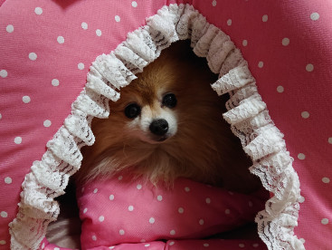 ここは🎀みゆの部屋だよ💕💕