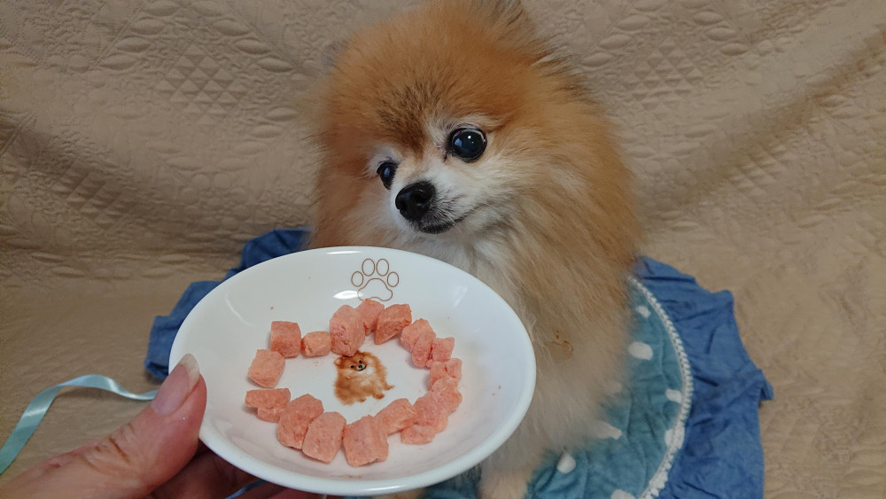 🍉スイカのおやつ🍉頂きます🍴🙏