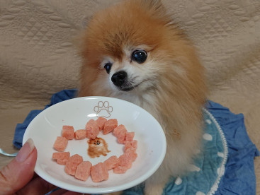 🍉スイカのおやつ🍉頂きます🍴🙏