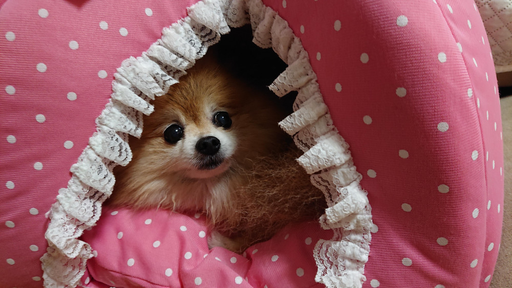 ここは
🎀みゆだけの部屋なんだよ。