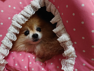 ここは
🎀みゆだけの部屋なんだよ。