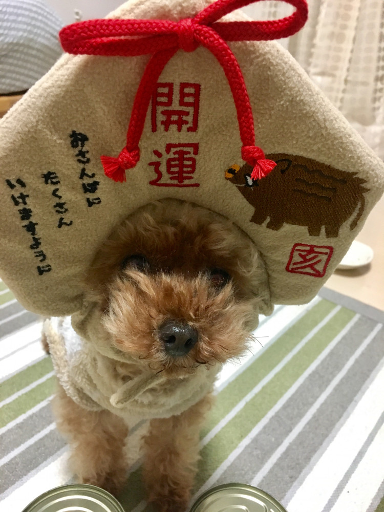 誰よりも早く願いごと🐶