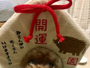 誰よりも早く願いごと🐶