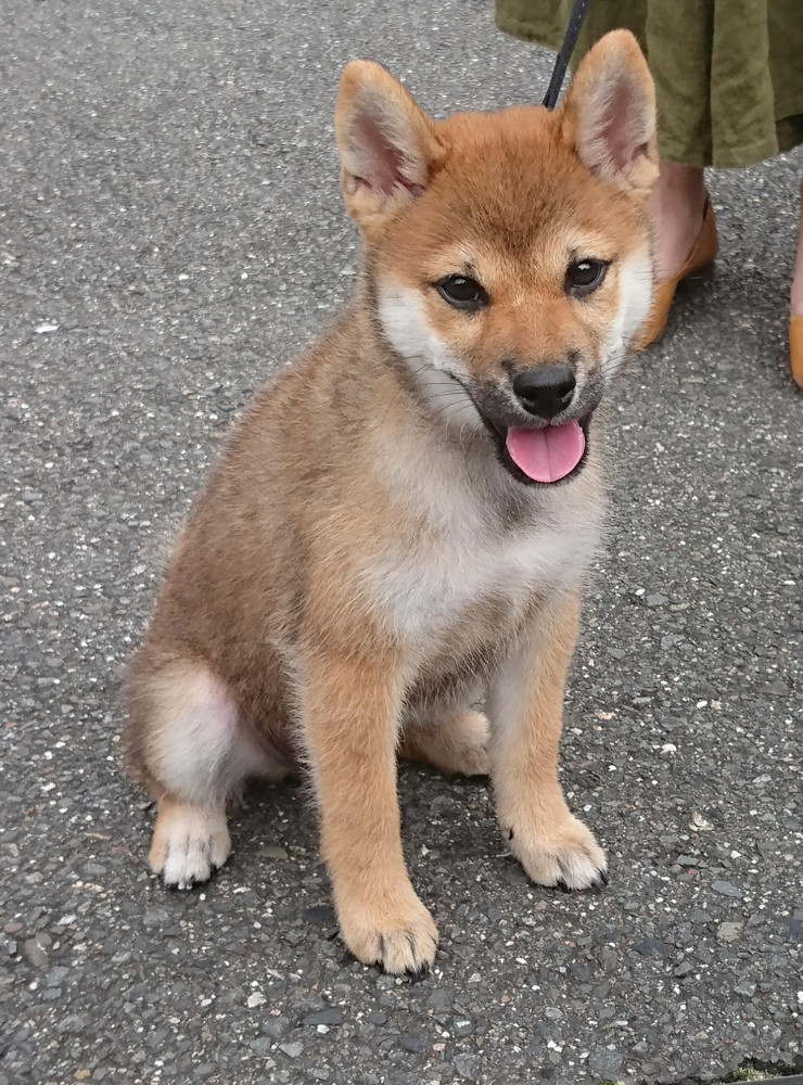 お友達のあんちゃん♪