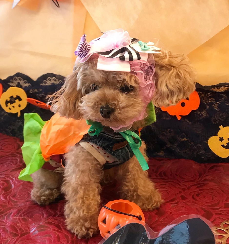 ハロウィン🎃👻🎃