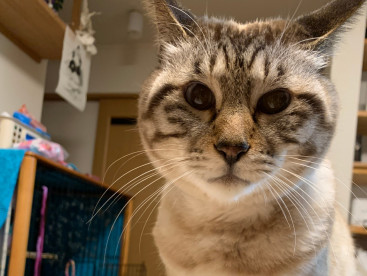 華です。
　今年もありがとう😺😺