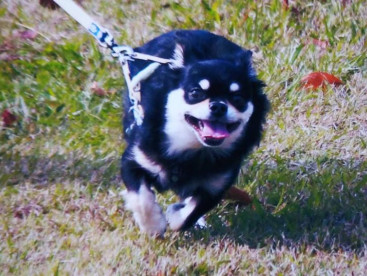 ５歳になりました😄今年も宜しくお願いします😄