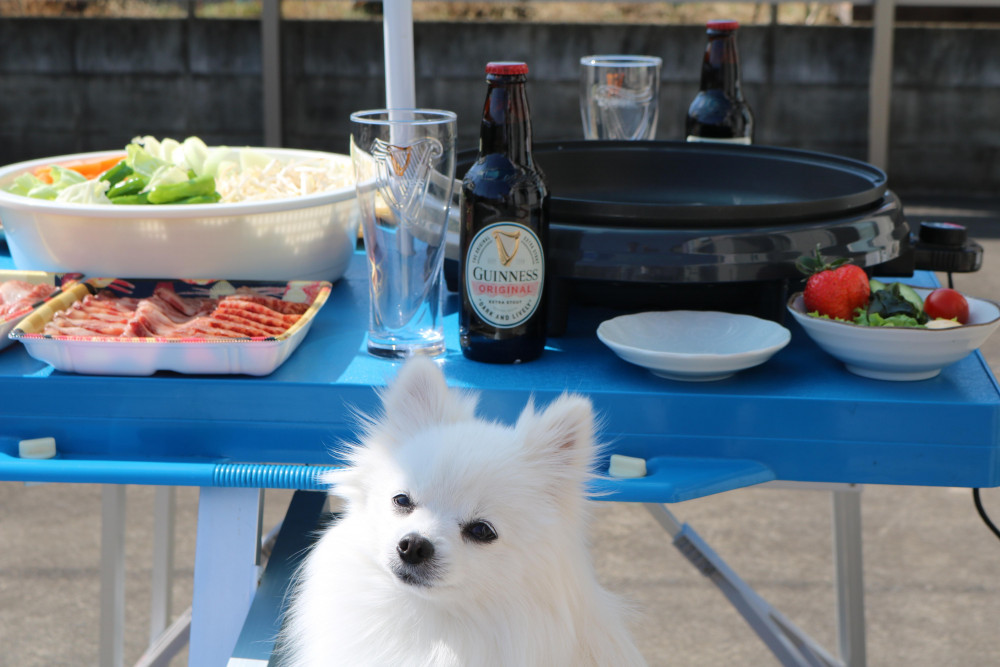 アサヒ！ シューパー！ ジョッラーーーイ🍺
緊急事態宣言ちぅの関東
自宅でジミィにBBQ（HP）