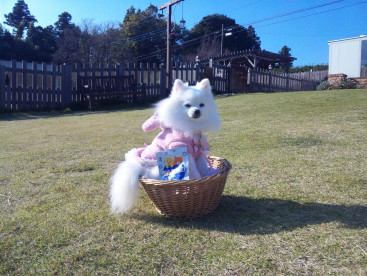 お出かけ先でも…
わんにゃブルは　いつも一緒💓