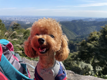 初めての高尾山登山⛰🐶