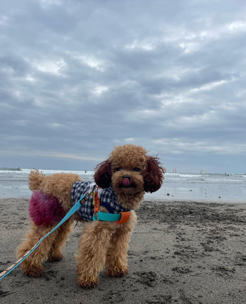 初めてのビーチ🏖はしょっぱい