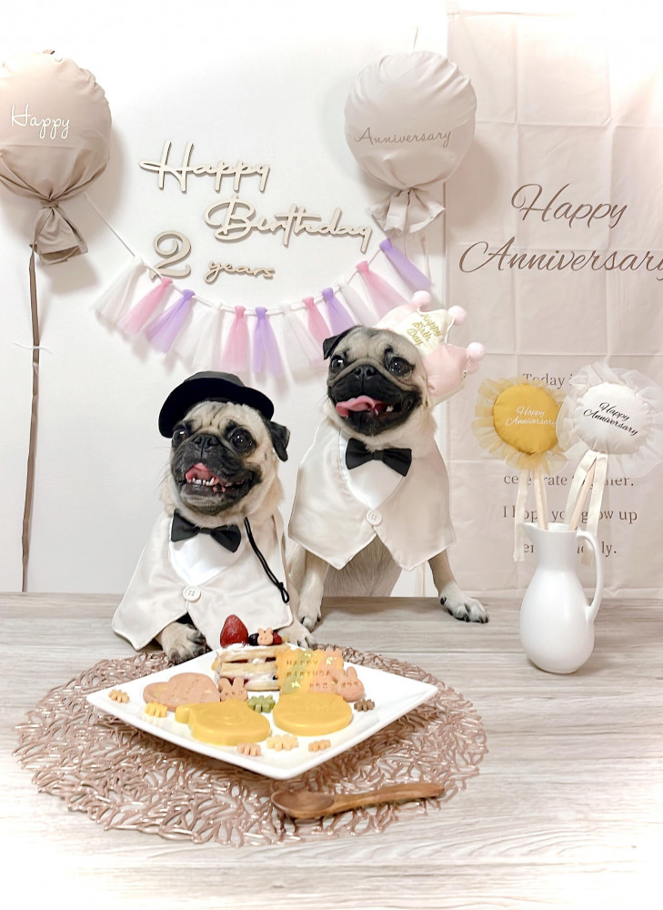 2歳バースデー🐶♥️
お誕生日当日は自宅で手作りわんこ用ケーキプレートつくってパーティしたよ🍰🍴