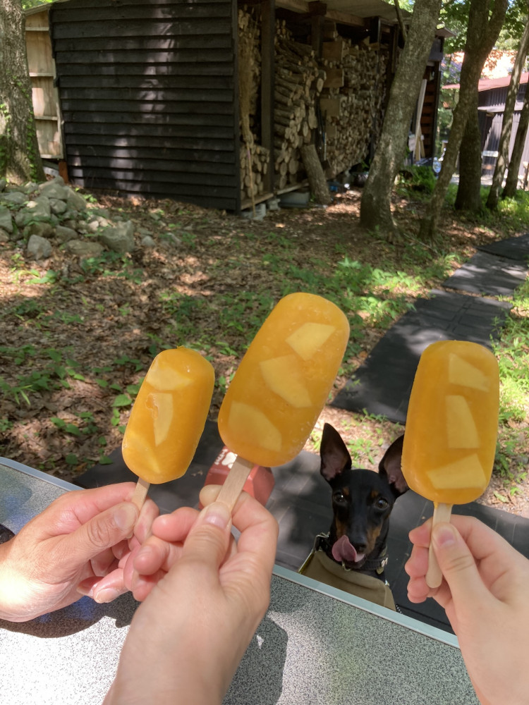 アイスが食べたい8月