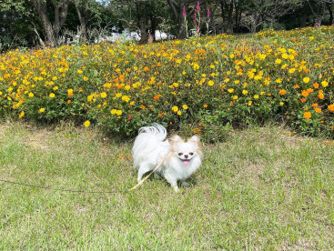 お出かけ日和🐾