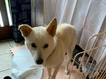 ママ〜。只今❣️可愛いクウさんです。