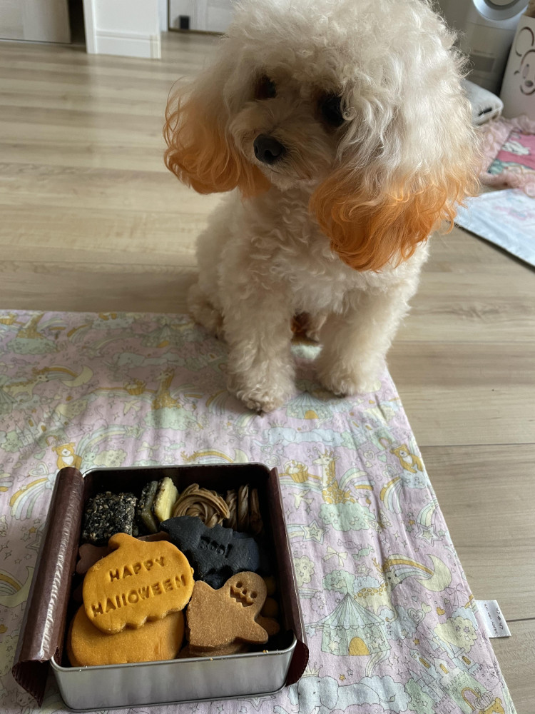 ハローウィンのクッキー缶だよ😊
美味しいよ😍