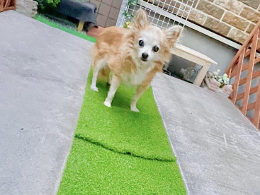 お庭の秘密基地💕