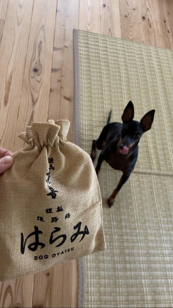 食欲の秋10月🍁プレゼントキャンペーン🎁当たったよ🙌ご馳走様でした🐶♡