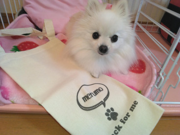 ”淡路鶏おやつ”「犬のおやつ屋さん」から、お名前入りのトートＢＡＧをいただきましたぁ(^｡^)💕