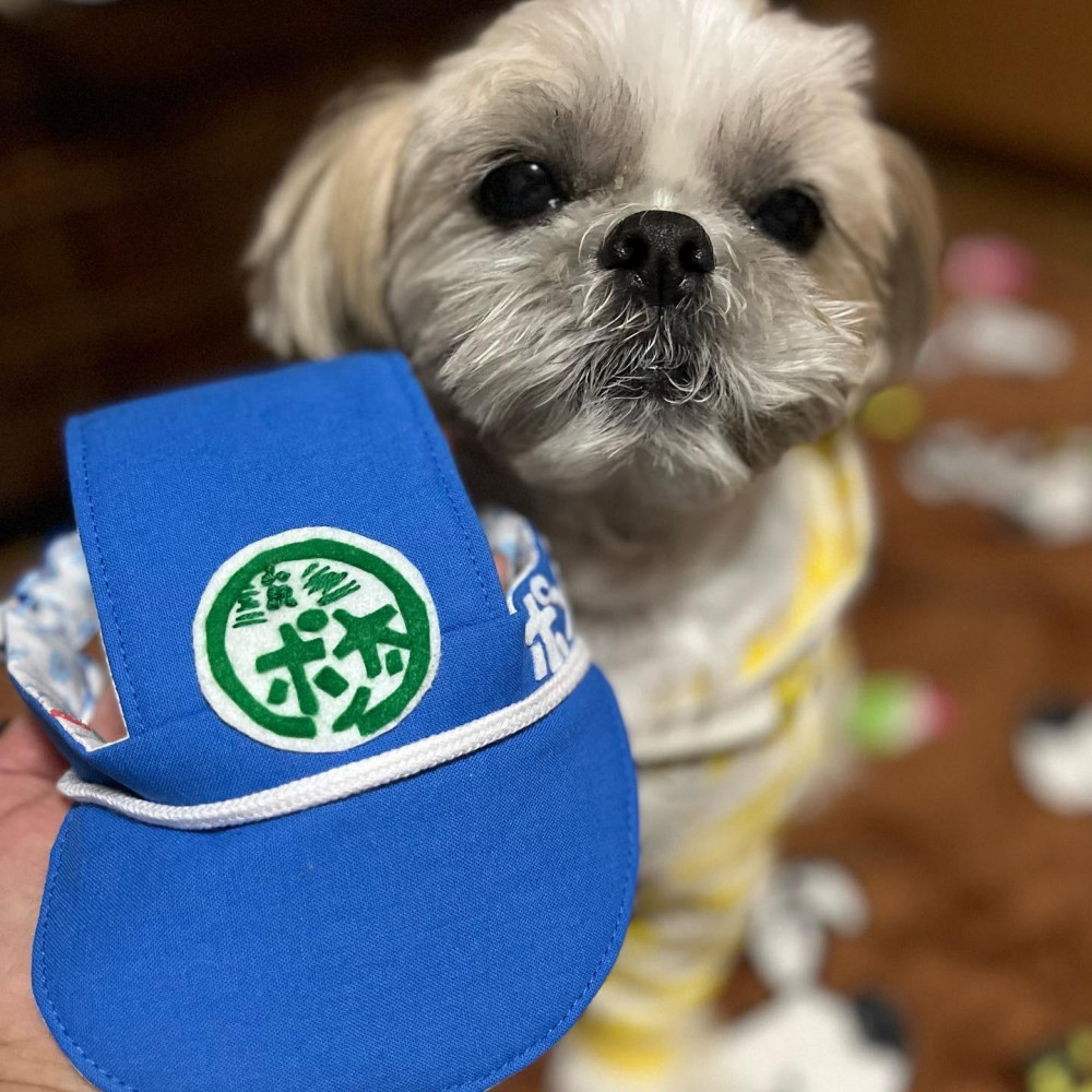 野菜王子👑土肥ポン太さんの
ポン太青果の帽子作ってくれてん
いらっしゃいませ〜👏
バイト行くわ