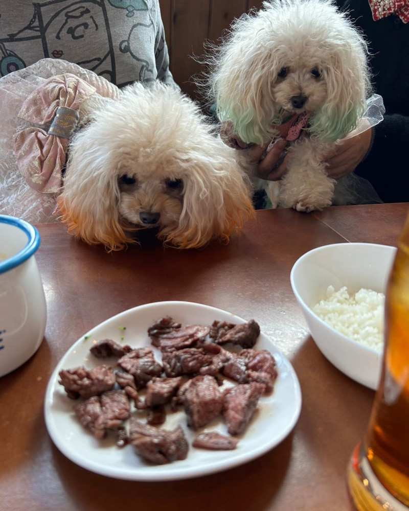 ステーキ食べに行きました