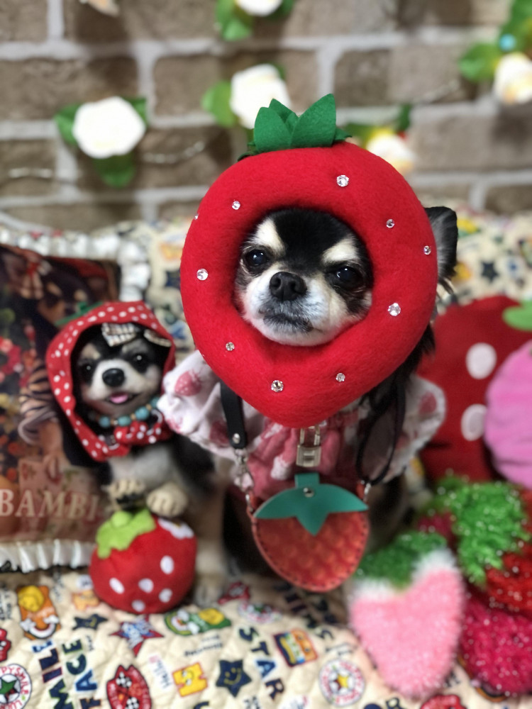 いちごﾊﾞﾝﾋﾞ🍓
食べますか？(*´艸`*)❤️