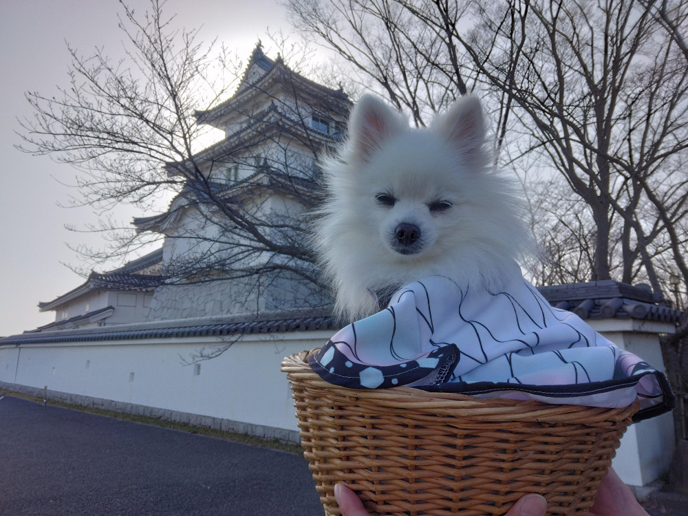 関宿城（千葉県野田市）
お城　好きのなのなの🏯