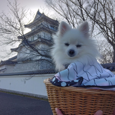 関宿城（千葉県野田市）
お城　好きのなのなの🏯