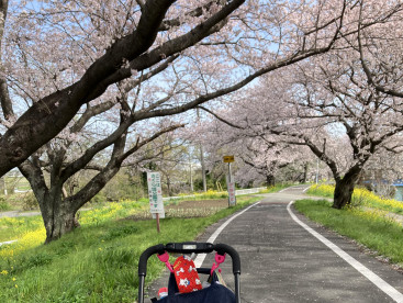 今年も一緒に桜見れたね🌸